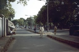 New Delhi-006